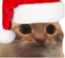 :chat_limite_noel_sansbg: