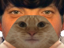 :Risicat: