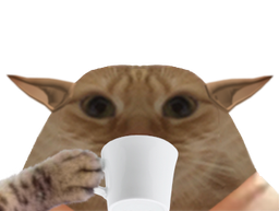 :chatboit: