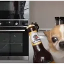 :Marloudog: