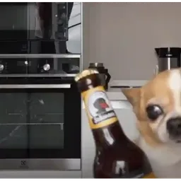 :Marloudog: