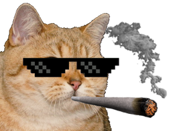 :chat_petard: