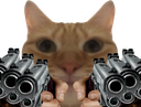 :chat6:
