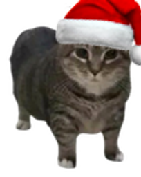 :chatnoel2: