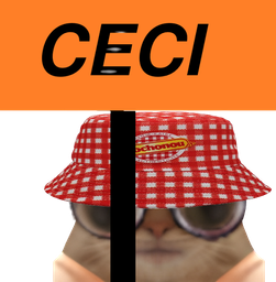 :ChaCochonouCeci: