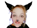 :cat_gril:
