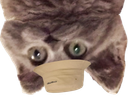 :Chatbobenvers: