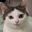 Photo de profil de Onchiste