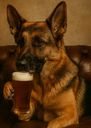 :chien_biere: