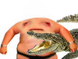 :avortin_crocodile: