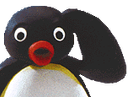 :Pingu_chokbar: