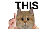 :sodium_visse: