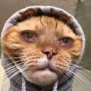 ChatBatte