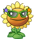 :Tournesol: