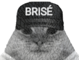 :chat_brise: