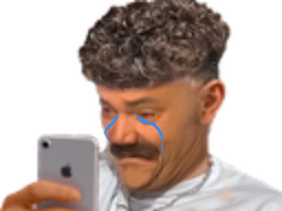 :brozeur_pleure: