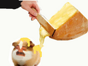:hamster_fromage: