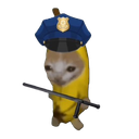 :chananePolicier: