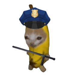 :chananePolicier: