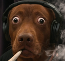 :tedddielonzoom: