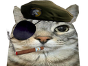 :CS_MGS: