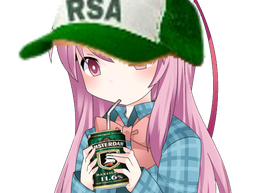 :rsa_kj: