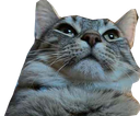 :cs_boomer: