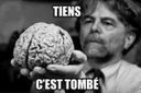 :Cerveau_: