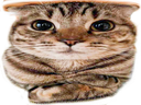 :OuaisTaRaison: