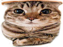 :OuaisTaRaison: