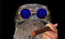 :Oiseau_cigare: