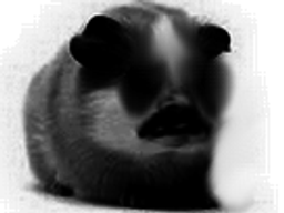 :Hamstadark: