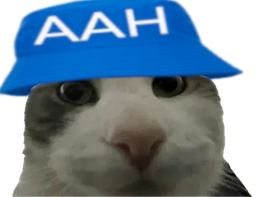 :Pouet_AAH: