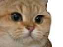 :sodium_zoom: