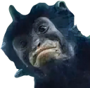 :Nouveau_singe: