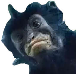 :Nouveau_singe: