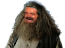 :Hagrid_rit: