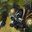 Photo de profil de SingedHextech