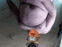 :Golempipi2: