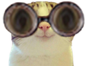 :Marrant_lunettes2: