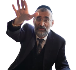 :RavRonChaya_Bras: