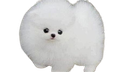 :chien_mignon: