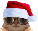 :chatnoel: