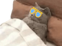 :Chadorglass: