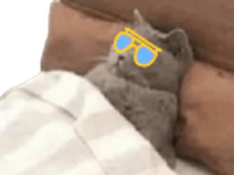 :Chadorglass: