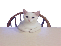 :chat_table: