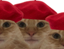 :caht: