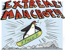 :Manchot: