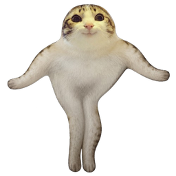 :chat_marrant_danse: