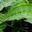 Photo de profil de TheVert